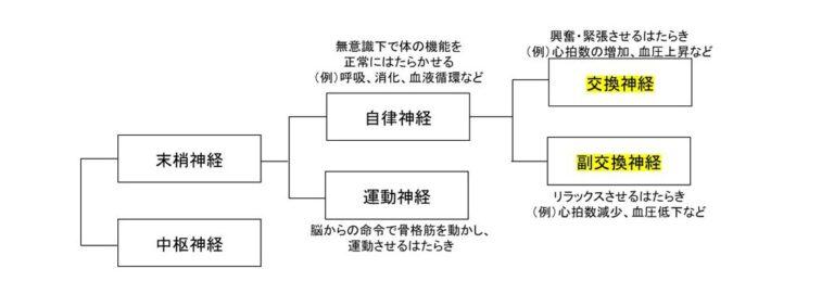 image1 image1